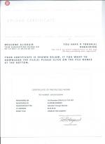 COPYRIGHT      COPYRIGHT